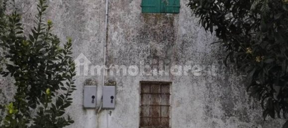 Villa de 5 dormitorios en Piacenza d'Adige, Italy No. 198932 24