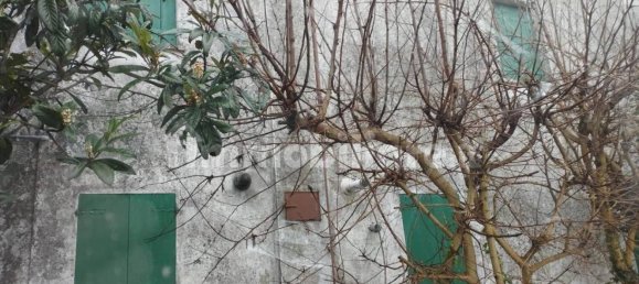 Villa de 5 dormitorios en Piacenza d'Adige, Italy No. 198932 11