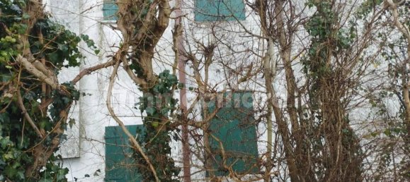 Villa de 5 dormitorios en Piacenza d'Adige, Italy No. 198932 13