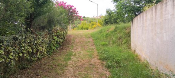 5 bedrooms Commercial property in Chalkidiki, Greece No. 5688 6