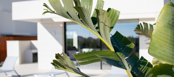 3 bedrooms Villa in Los Montesinos, Spain No. 8630 3