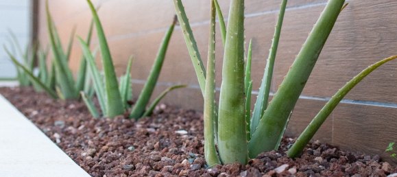 3 bedrooms Villa in Los Montesinos, Spain No. 8630 10