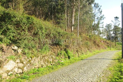  Land in Barcelos, Portugal No. 205232