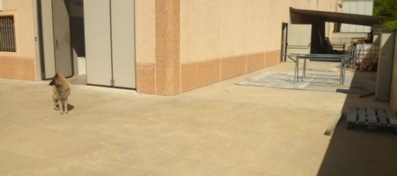 1041m² Warehouse in Gorla Maggiore, Italy No. 329667 5