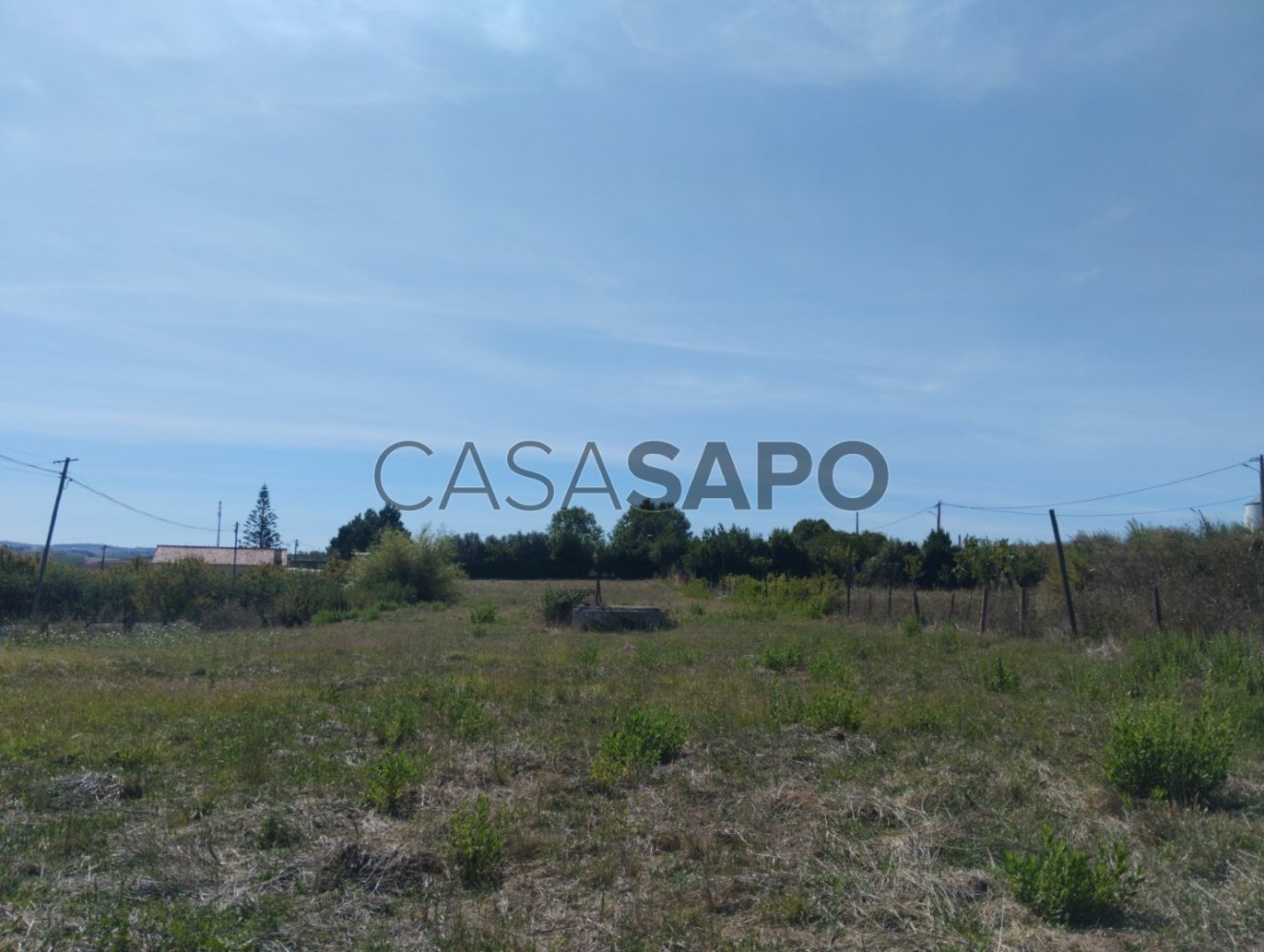 Земельный участок в Торриш Ведраш, Португалия № 354896