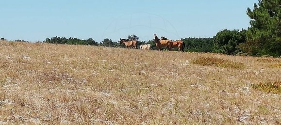 131m² Land in Sines, Portugal No. 92260 7