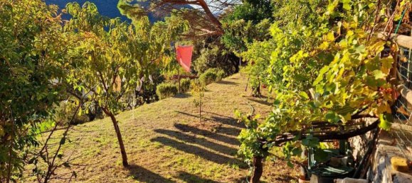 7غرفة منزل في Castiglione Chiavarese, Italy رقم 134477 3