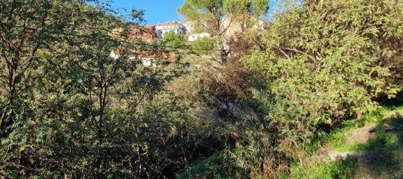 7غرفة منزل في Castiglione Chiavarese, Italy رقم 134477 5