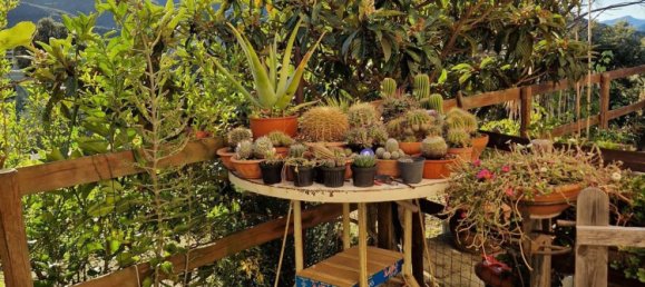 7غرفة منزل في Castiglione Chiavarese, Italy رقم 134477 11