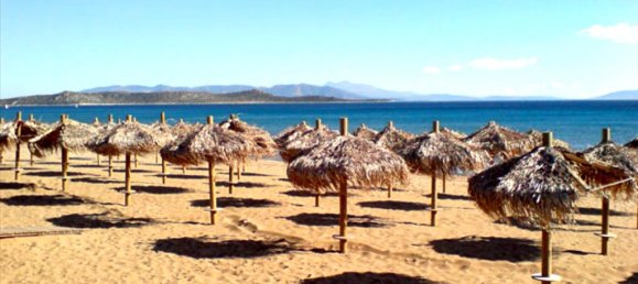 Property à Marathon, Greece 540m² No. 5148 2