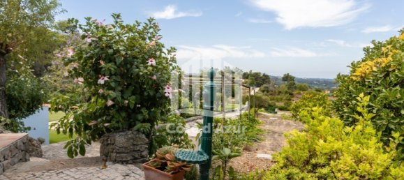 6 bedrooms Land in Setubal, Portugal No. 126541 13