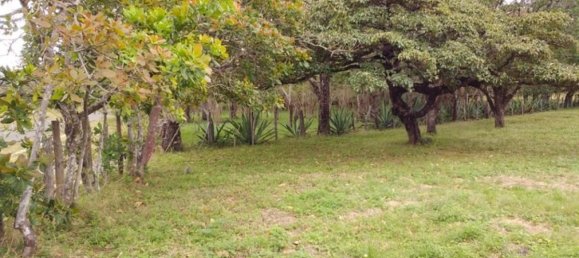 Grundstück in Liberia, Costa Rica, Nr. 1775 5