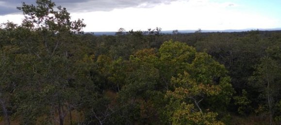 Grundstück in Liberia, Costa Rica, Nr. 1775 2