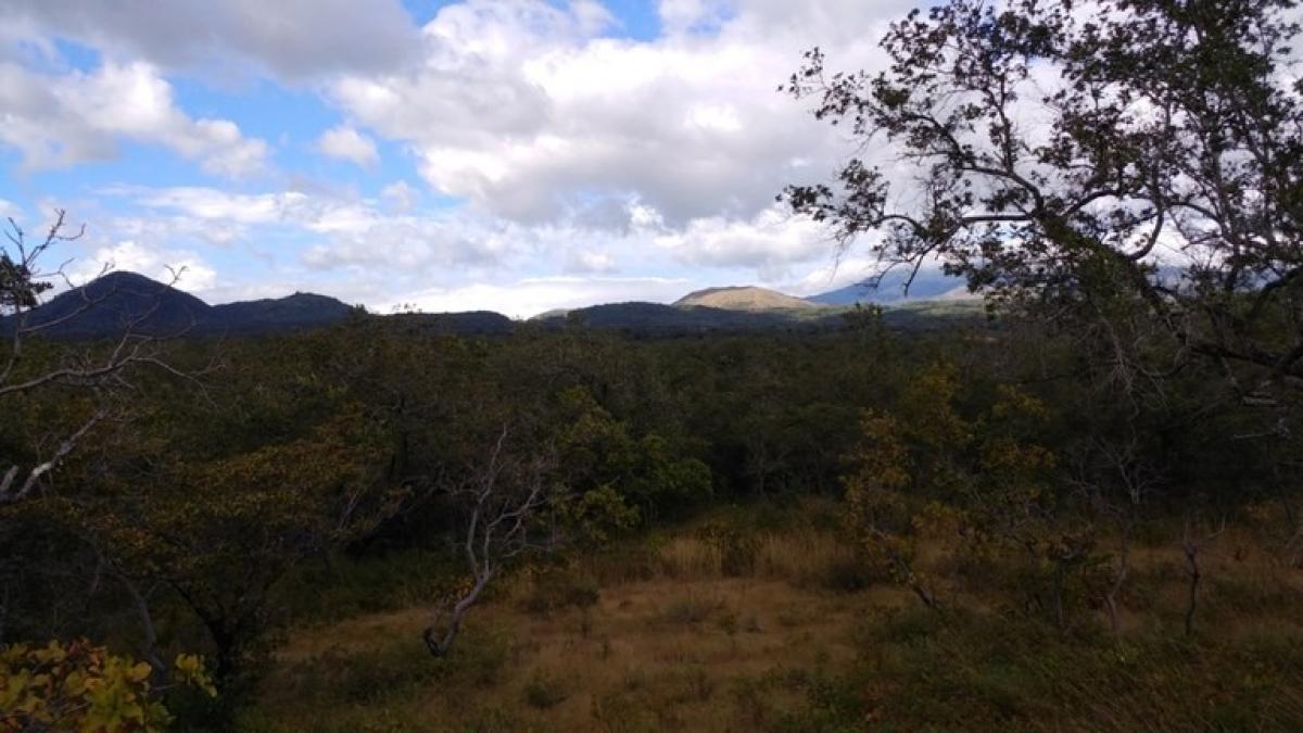 Grundstück in Liberia, Costa Rica, Nr. 1775