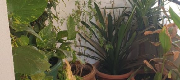 Таунхаус с 3 спальнями в Вильянуэва-де-ла-Серена, Испания № 177497 18