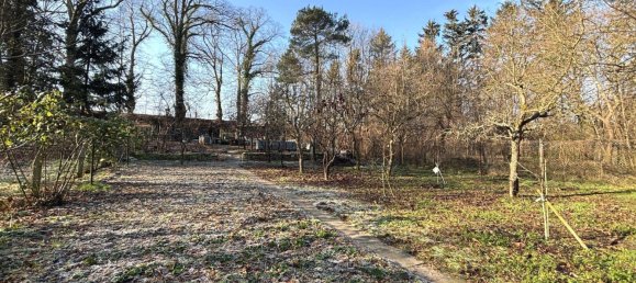 Дом с 2 спальнями в Восточный Пригниц-Руппин, Германия № 76842 11