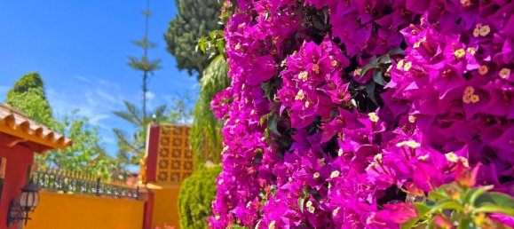 Villa T6 em Marbella, Spain N.º 151305 35