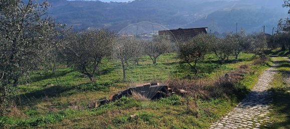 5 غرف نوم منزل في Pombal, Portugal رقم 42361 18