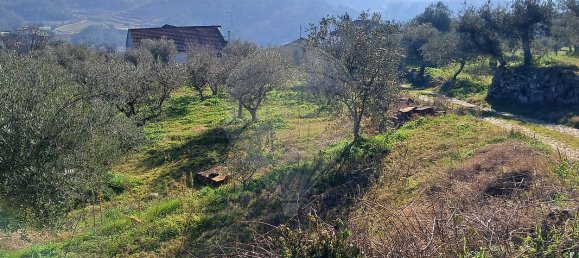 5 غرف نوم منزل في Pombal, Portugal رقم 42361 20