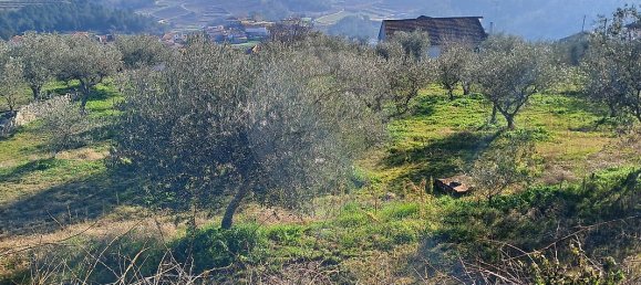 5 غرف نوم منزل في Pombal, Portugal رقم 42361 19