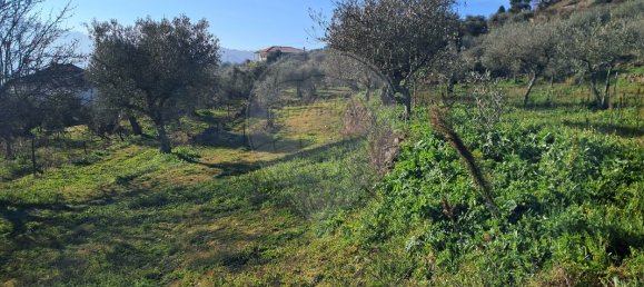 5 غرف نوم منزل في Pombal, Portugal رقم 42361 3