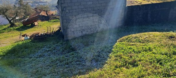 5 غرف نوم منزل في Pombal, Portugal رقم 42361 5