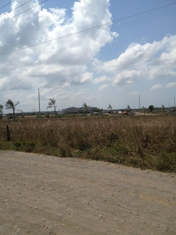  Land in Veracruz, Mexico No. 206635