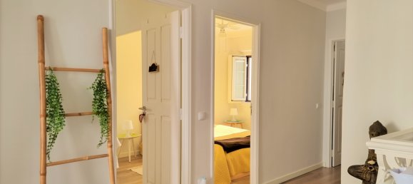 4 Schlafzimmer Gebäude in Alcacer do Sal, Portugal, Nr. 205277 2