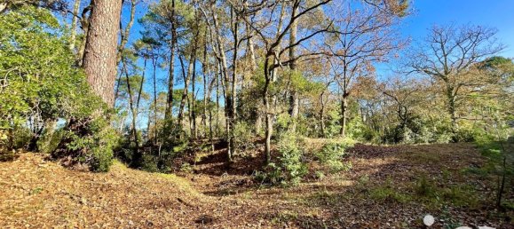 998m² Land in Capbreton, France No. 89473 5