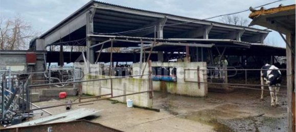 Studio in Senna Lodigiana, Italy No. 320721 2