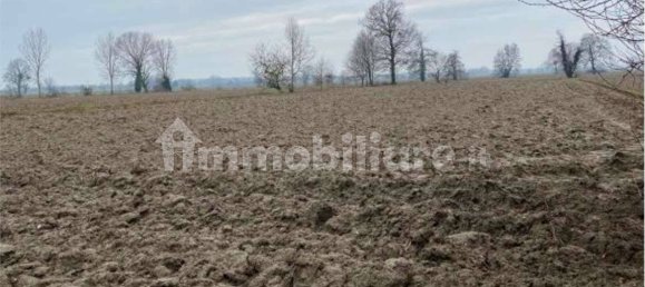 Studio in Senna Lodigiana, Italy No. 320721 5