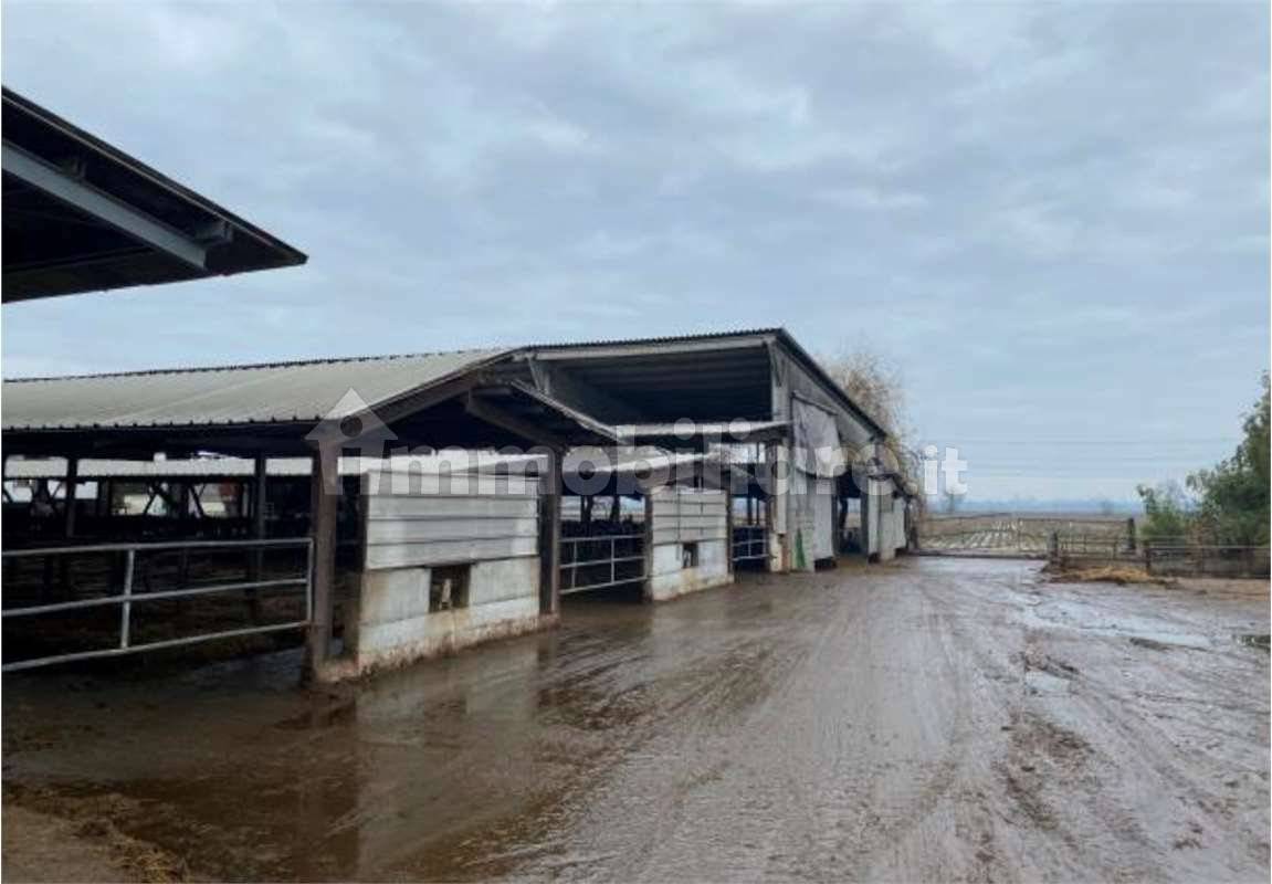 Studio in Senna Lodigiana, Italy No. 320721