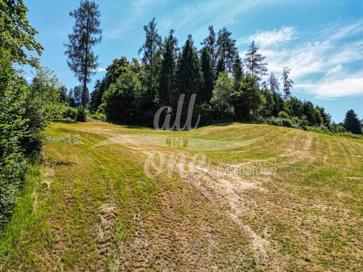 1118m² Land in Moosburg, Austria No. 161149