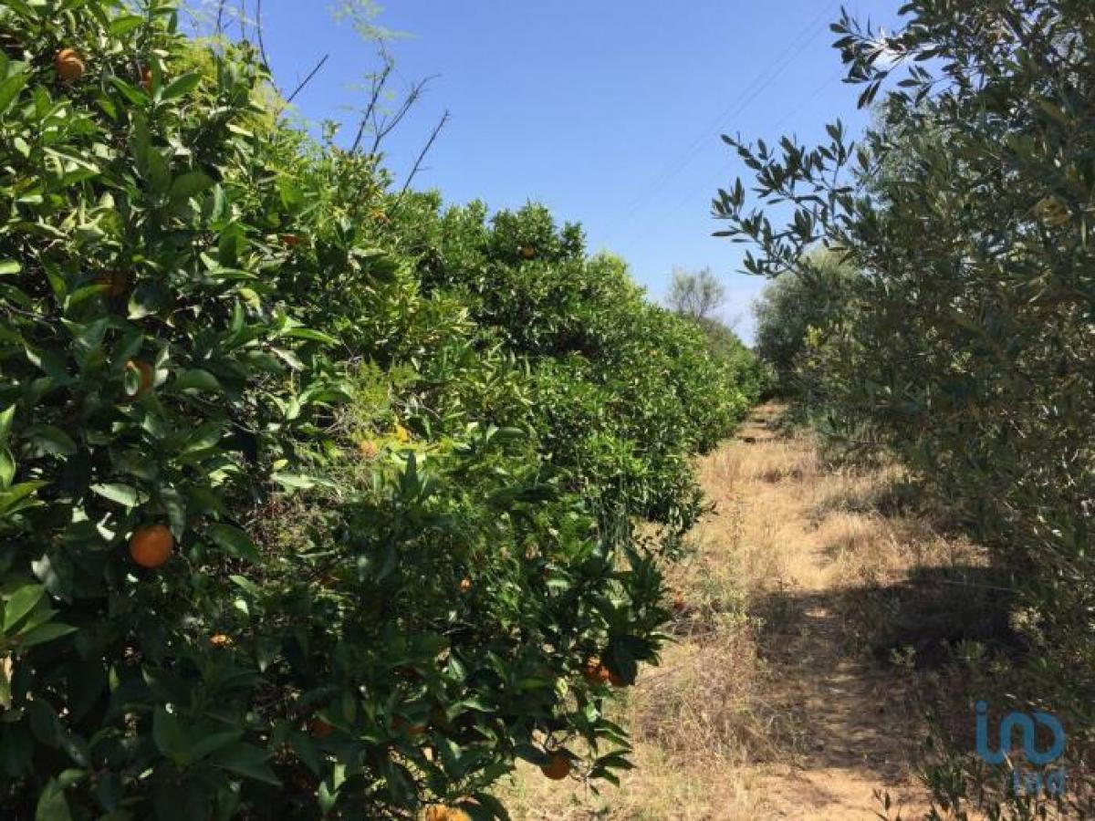 Terrain à Albufeira, Portugal No. 8929