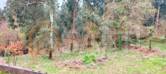 900m² Land in Vila Nova de Cerveira, Portugal No. 78192 3