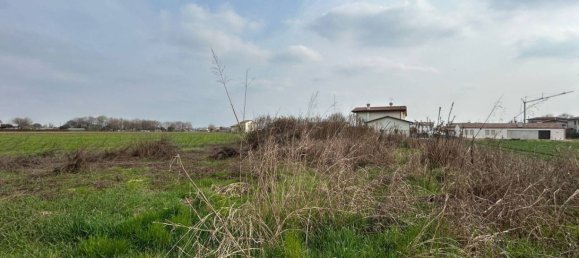 1002m² Land in Cassola, Italy No. 211367 3