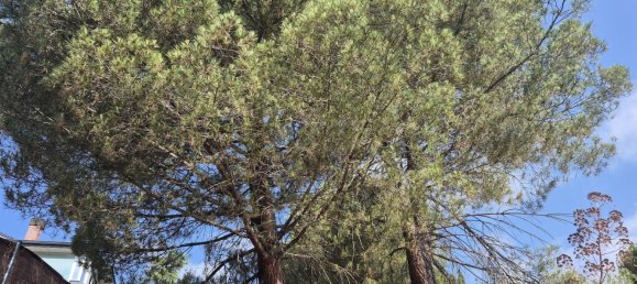 Земельный участок 894м² в Торрелодоны, Испания № 172310 18