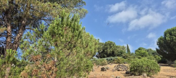 Земельный участок 894м² в Торрелодоны, Испания № 172310 22