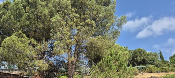 Земельный участок 894м² в Торрелодоны, Испания № 172310 10