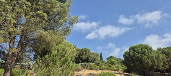 Земельный участок 894м² в Торрелодоны, Испания № 172310 11