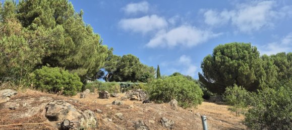 Земельный участок 894м² в Торрелодоны, Испания № 172310 14