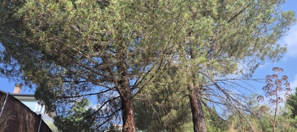 Земельный участок 894м² в Торрелодоны, Испания № 172310 19