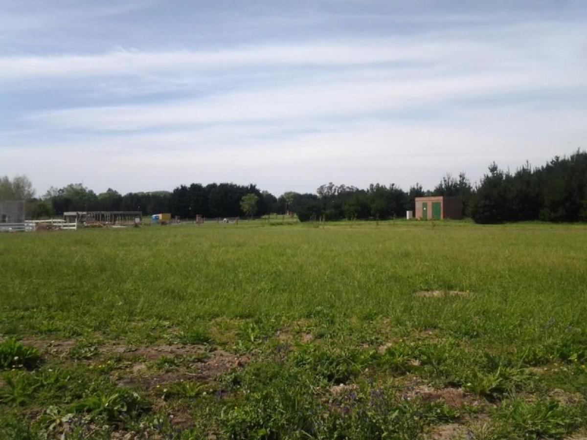 784m² Commercial property in Mar del Plata, Argentina No. 109449