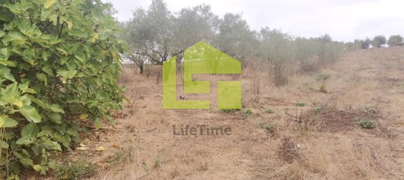 2 bedrooms House in Vinha da Rainha, Portugal No. 64465 7