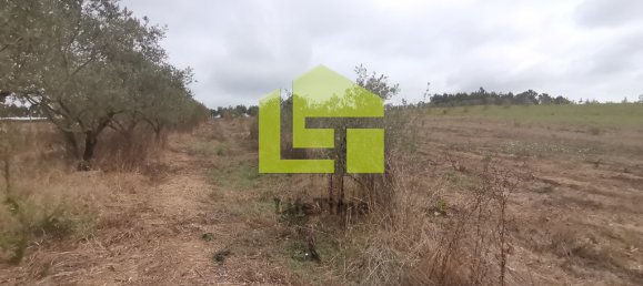 2 bedrooms House in Vinha da Rainha, Portugal No. 64465 4