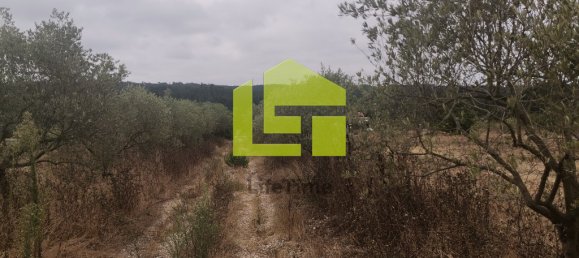 2 bedrooms House in Vinha da Rainha, Portugal No. 64465 10