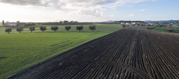 Casa T5 em Montalto di Castro, Italy N.º 89285 17