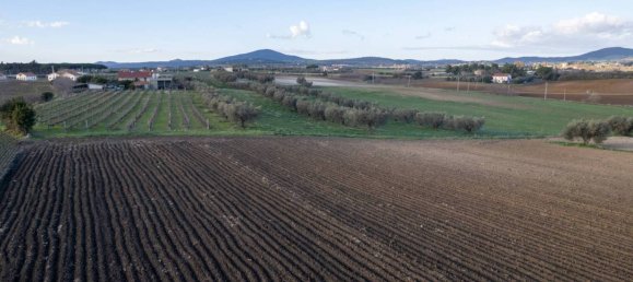 Casa T5 em Montalto di Castro, Italy N.º 89285 4