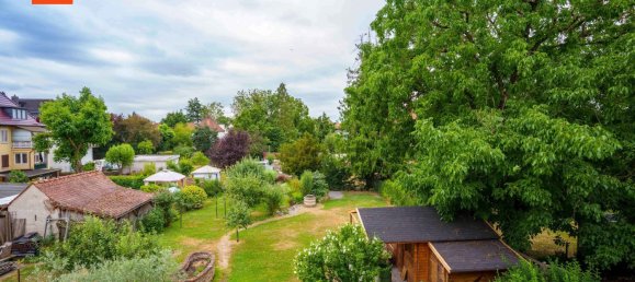 11 bedrooms Villa in Main-Kinzig, Germany No. 240270 9