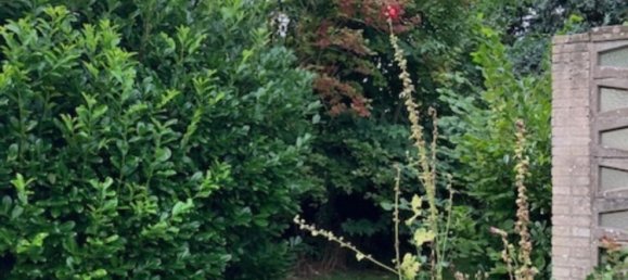 Casa T3 em Schleswig-Holstein, Germany N.º 58206 13